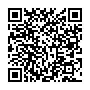 若是那汉人小儿和文家那不知廉耻的淫a真是干干净净的话二维码生成