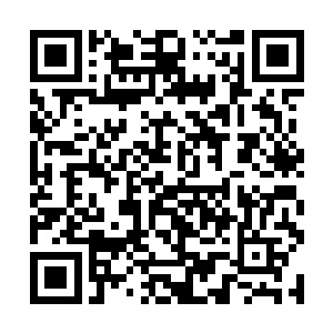 若是雷振霆能做主那么就算他自己不能娶这白衣女子二维码生成