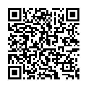 若是韩风参悟完一转就马不停蹄的粉碎重塑根基二维码生成