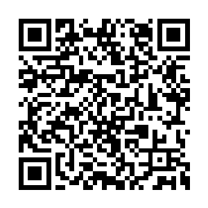 若是黄金星龙那等势力有这防御神器还说得过去二维码生成