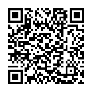 若楚暮真的可以以一星圣级初阶的层次对抗八星圣级二维码生成