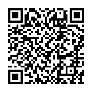 若没有凌蘭操控神级机甲拖延了宝贵的二十分钟二维码生成