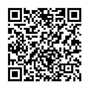 若泽则是单纯的伤心自己竟然真的是虎头嘴里的坏人二维码生成