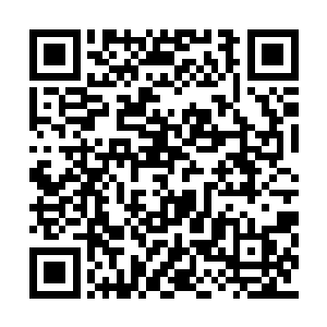 若真的是咕噜姆兄弟那副人不人鬼不鬼的惨白脸二维码生成