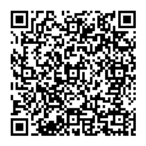 若真的是要对他下杀手的话 想必风清扬绝对无法抵挡 能够勉强活下來 已经是不幸中的万幸了二维码生成