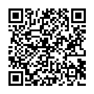 若禁古之界禁止自己施展紫云神臂第十三重和十翼玄龙变二维码生成