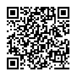 若能将这阴界彻底的收服这些灵兽都为己所用那自己二维码生成