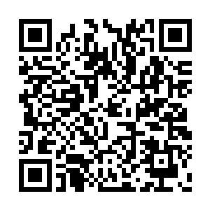 若获得七级原住民生物组织样本可加速这一过程二维码生成