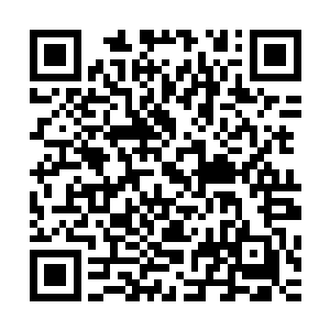 若说在两人结婚前颜家人对王世子没有研究那自然是不可能的二维码生成