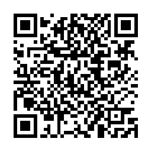 若说杨开之前还在怀疑玉清山中的火鸟到底是不是流炎的话二维码生成