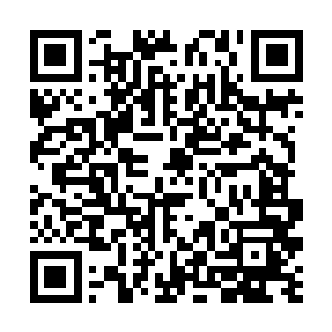 若说闵兰在事发的时候什么都没有做就这样受人信任二维码生成