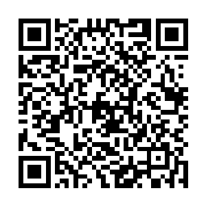 若非大都督主动承担当时最为危险却又最为重要的任务二维码生成