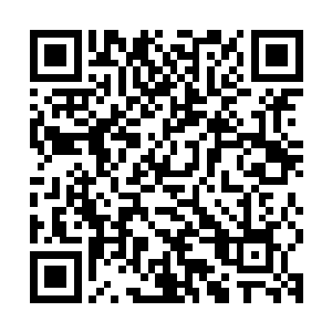 若非夭华身后跟着一个完全不会武功的人与一个中了毒虚弱的人二维码生成
