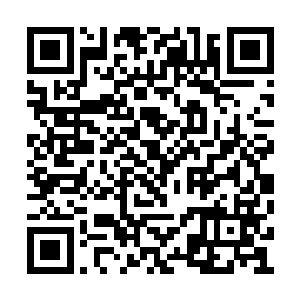 若非她脑袋上顶着的确实是一个正常的白色名字二维码生成