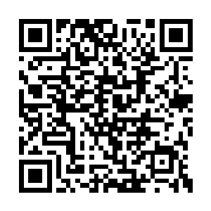 若非当着海族和海蟹妖族的大王和一干修士的面二维码生成