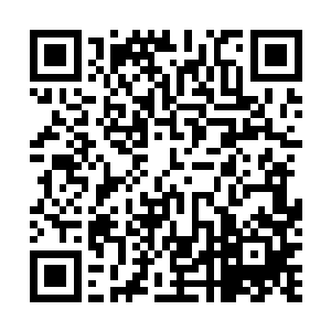 若非意识借助黄泉骸骨暗中施展的元心印告诉他没有问题二维码生成