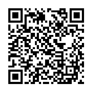 若非是此时大厅中的人都是紫月两家绝对忠诚嫡系二维码生成