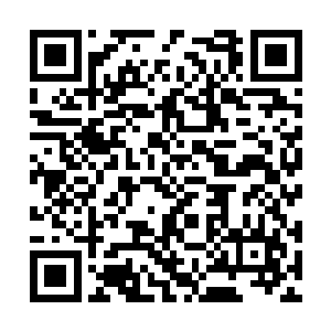 若非朱能神皇乃是四阶传奇神皇而非四阶逆天神皇二维码生成