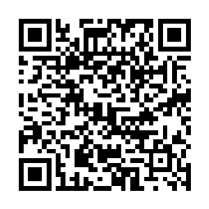 若非此巨大手掌乃是由一位元婴后期大修士凝聚出来的二维码生成