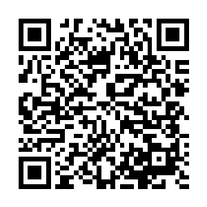 若非程家四长老本身的神元已经达到三品极为高等的地步二维码生成