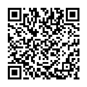 若非要试探出他身上是否还有寂灭老匹夫的剑气二维码生成