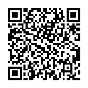 苦苦搜寻秩序火种多日无果的她瘫软在冰冷潮湿的神庙中央二维码生成