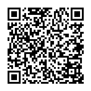 苦苦求订阅――――――――大家上个月有个消费的本月都有送的保底月票二维码生成