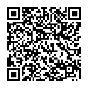 苦b的杨教官到目前为止也没意识到眼前的年轻人根本就不是他能够对抗的二维码生成