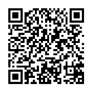 英伦国的大军被圣诺国花钱请来的佣兵们给挡了下来二维码生成