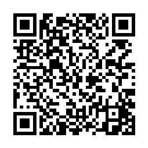 英康宁把这两幅字画据为己有的占有欲就空前的高涨二维码生成