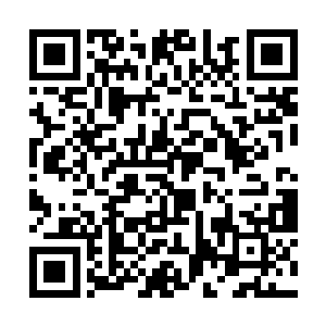 英格兰媒体在听到不来梅媒体表示里昂是好签的时候二维码生成