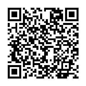 英语和模样都好的谁愿意来干端盘子还有伺候人的活儿二维码生成