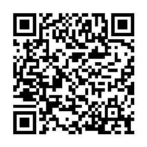 苳凰郡主对于赵纯良而言最大的意义就是做诱饵二维码生成