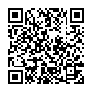 范妈妈也拿不准他是不是就是放过山风进神将府的人二维码生成