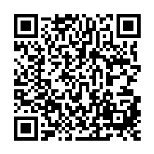 范子衿在夏家用过午饭送小夏氏和小福回范府后才来王府接小安二维码生成