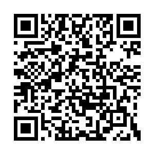 范子衿就气喘吁吁的跟在小熊后面跑到了昭华院二维码生成