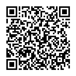 范家的一个长老也公开在回帖之中承认了张铁在文章中的一个判断二维码生成