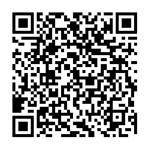 范扬俩夫妻还是不怎么相信有的人会因为到这里玩上几天花出去几十万美元二维码生成