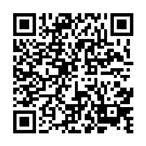 范晋多半是将这个秘密隐藏起来的……他那卓绝的天赋二维码生成