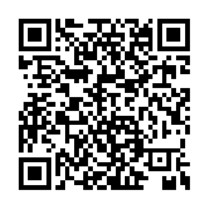 范晓红亲自带了人将所有的材料全部都拿了过来二维码生成