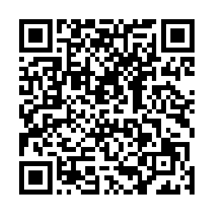 范筱梵就将这四个修士所了解的张老板的事情打听清楚了二维码生成