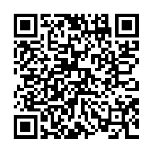 范筱梵的储物戒指里的万年灵药至少是她现有库存的一倍二维码生成