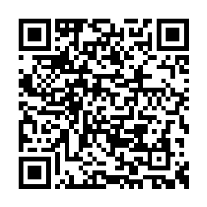 范迷迷糊糊籍正穿过西厢回廊的一道拱门的时候二维码生成