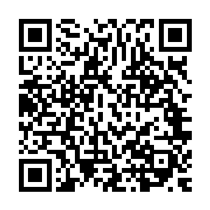 范铁云前辈已经带着冯奶奶还是她的一个小孙女从住处离开了二维码生成