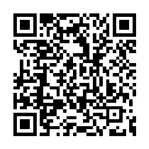 茅台这新酒和秦老弟酿造出来的卧龙醉一模一样二维码生成