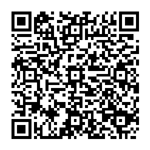 茅山掌教不满的一声怒喝　他不是傻子　立即用这修真界千古不变的规则來扣押鬼冥二维码生成