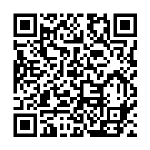 茅枫和赵紫虞等一干茅家重臣都纷纷进入了这第二层的空间二维码生成