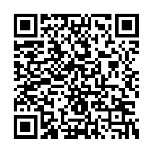 茅秋雨最清楚天道一剑的强者和去而无回的特质二维码生成