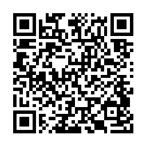 茜茜看着金在珉对金泰妍体贴的举动也很有好感二维码生成