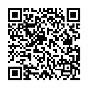 茱莉娅公司对海马丸的投放市场数量还进行了严格的限制二维码生成